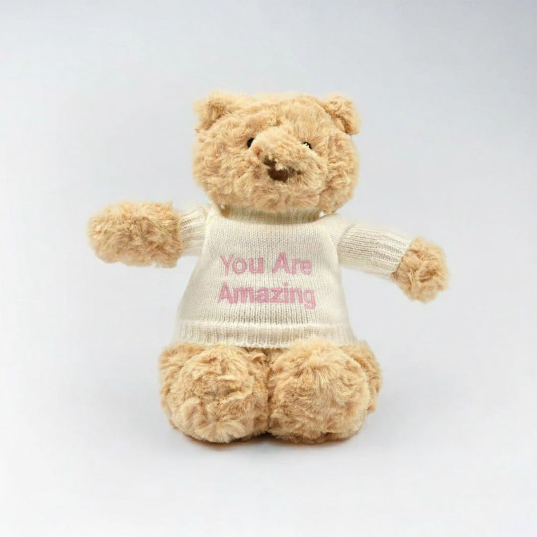 Hugsy Bear wearing Personalised "You Are Amazing" Shirt