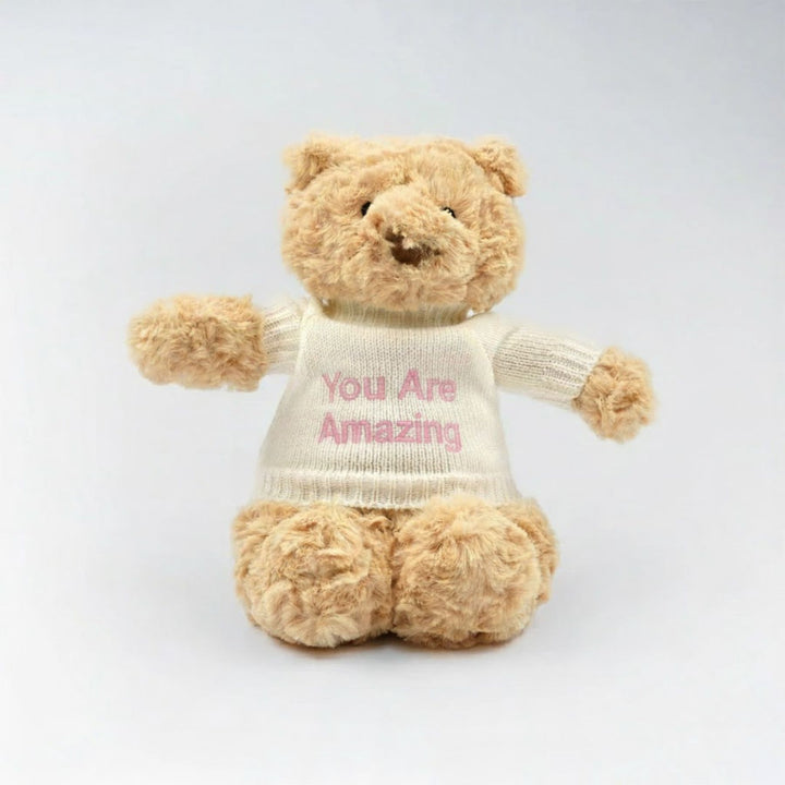 Hugsy Bear wearing Personalised "You Are Amazing" Shirt