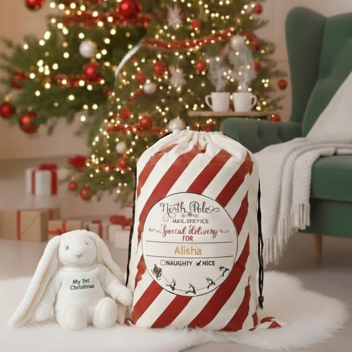 Red and white striped gift bag with personalised name in front of a decorated Christmas tree.