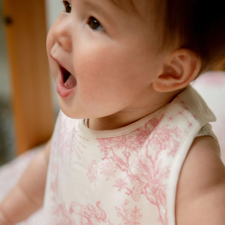 Baby wearing House of Holly Savanna Bamboo Reversible Baby Bib with Toile de Jouy Print