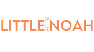 Little Noah Logo