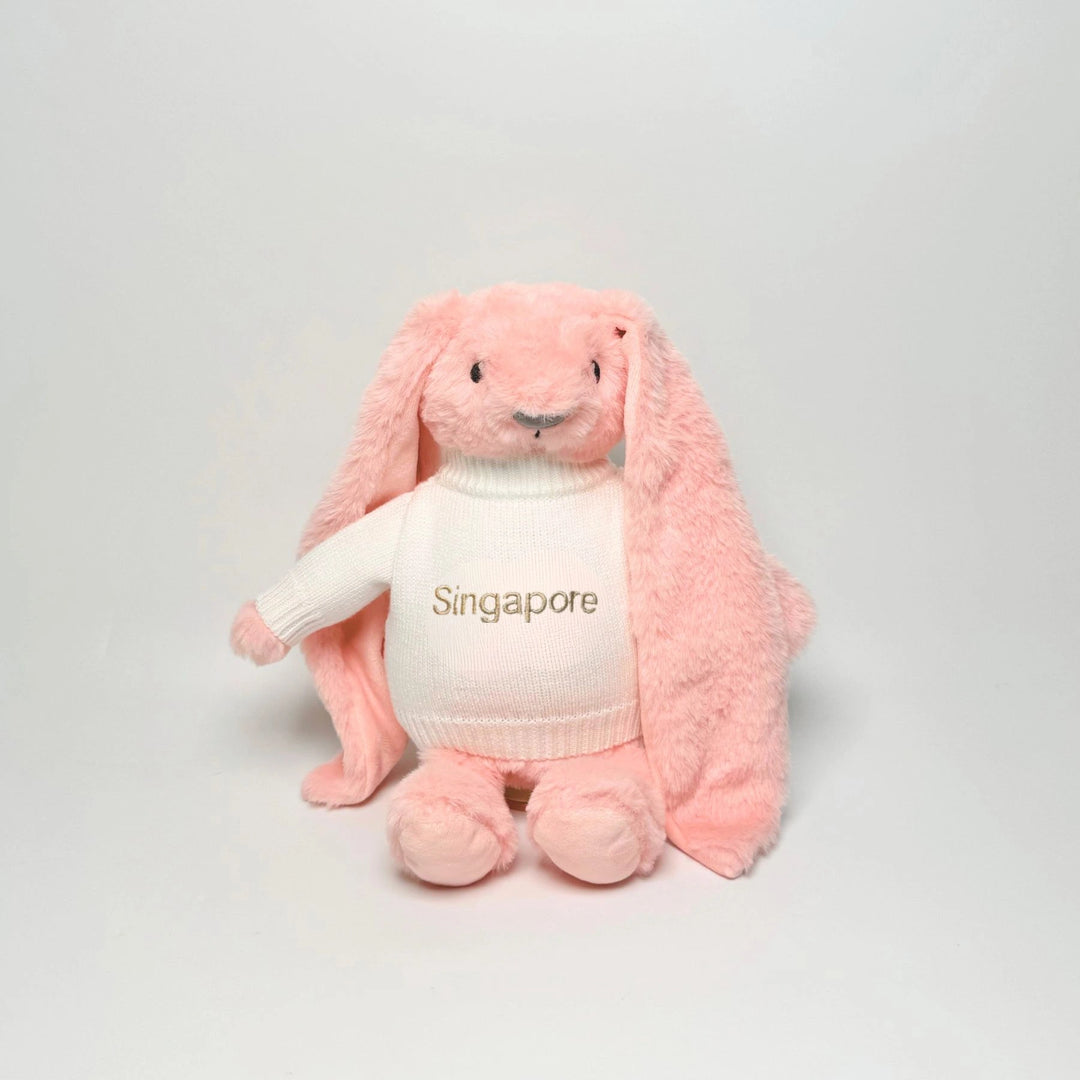 Lifestyle image showing personalised Singapore jumper being placed on a pink plush bunny