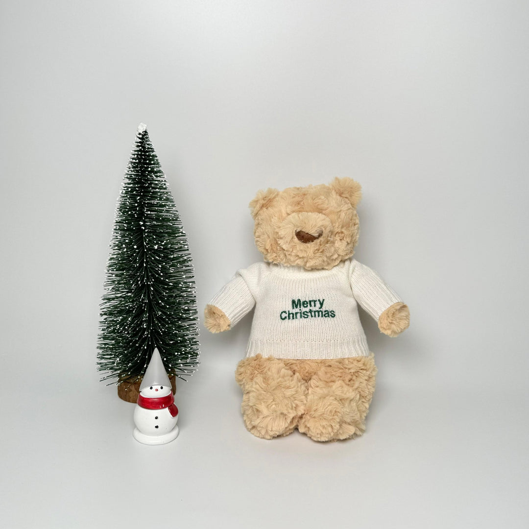 Teddy Bear in Merry Christmas Jumper