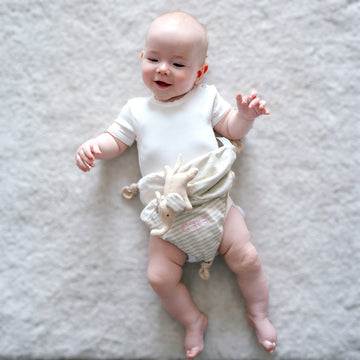 Organic Cotton Elephant Comforter