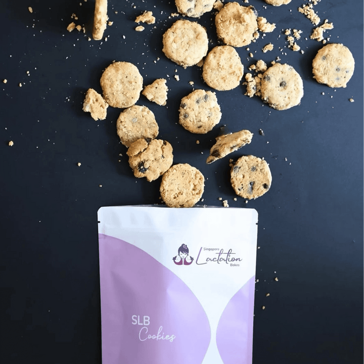 Singapore Lactation Bakes dark chocolate macadamia nut lactation cookies