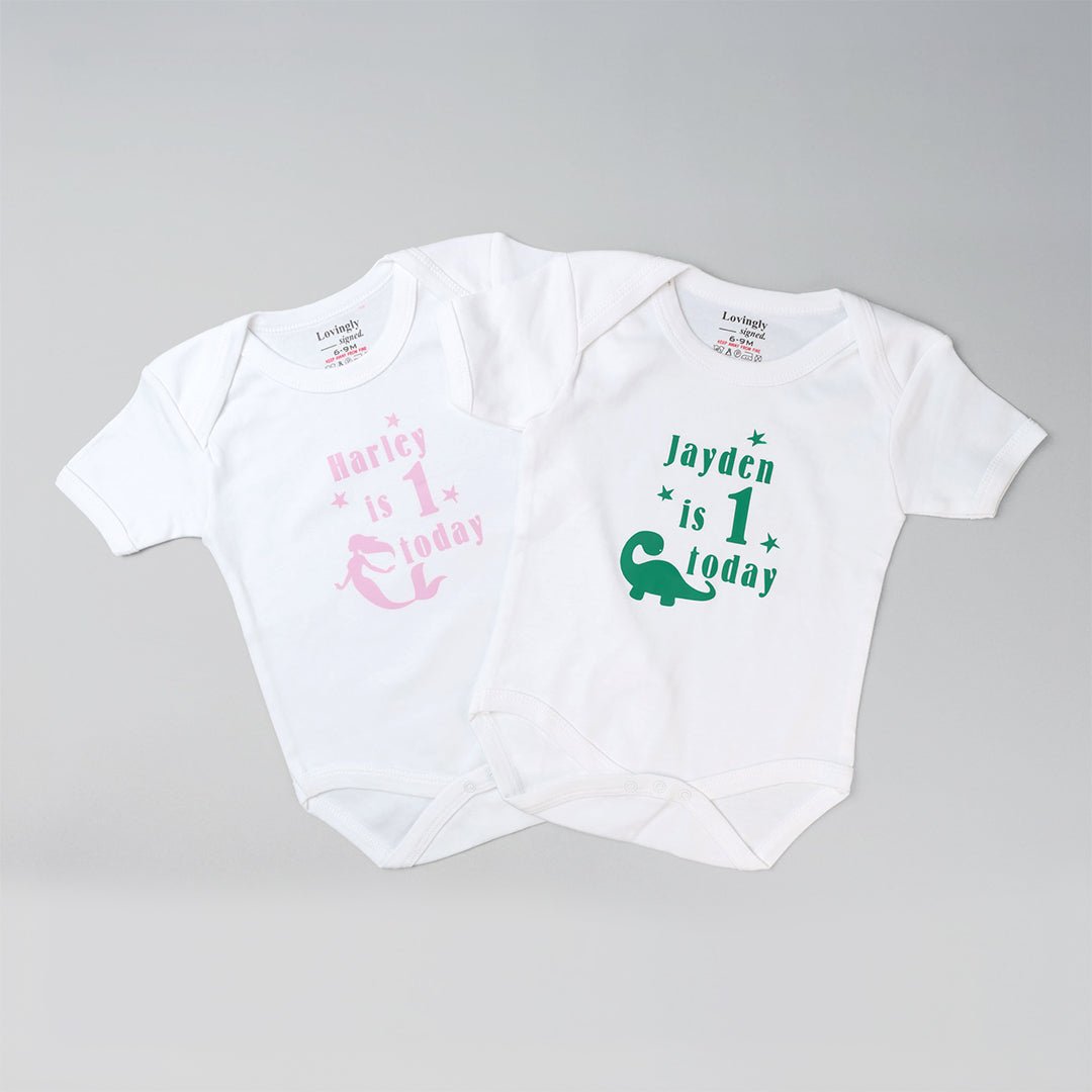  1st Birthday Babygrow (Multiple designs) 