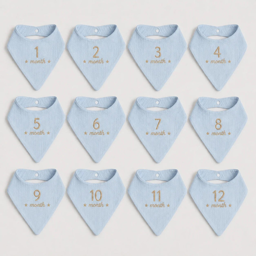 Set of 12 blue baby bibs with beige text indicating months on a light gray background