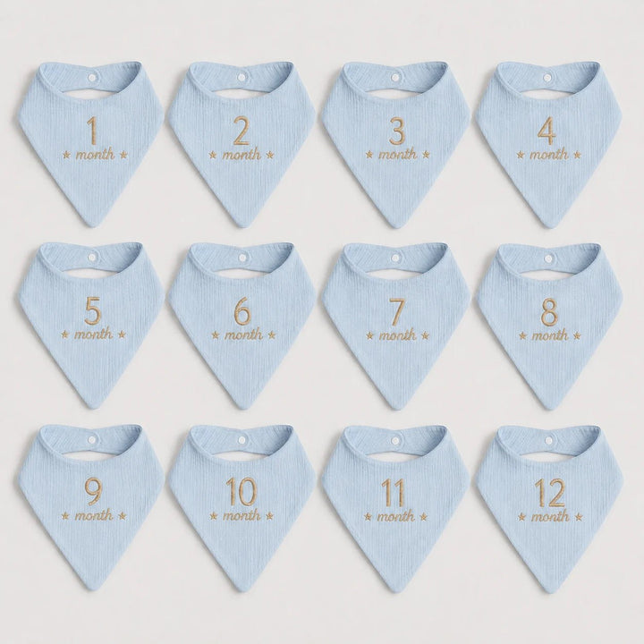 Set of 12 blue baby bibs with beige text indicating months on a light gray background