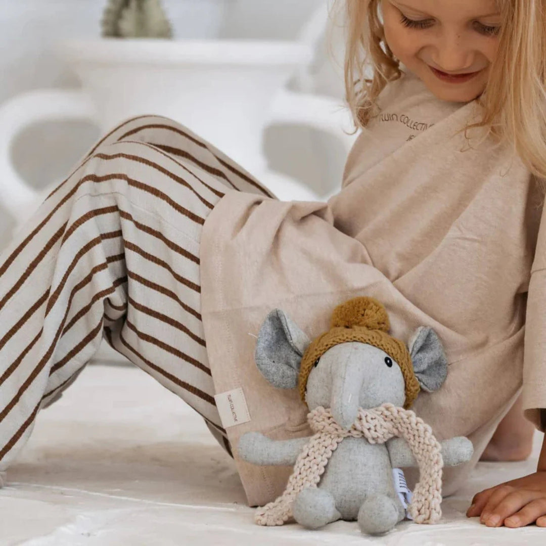 and the little dog laughed's Myrtle the elephant and her favourite companion