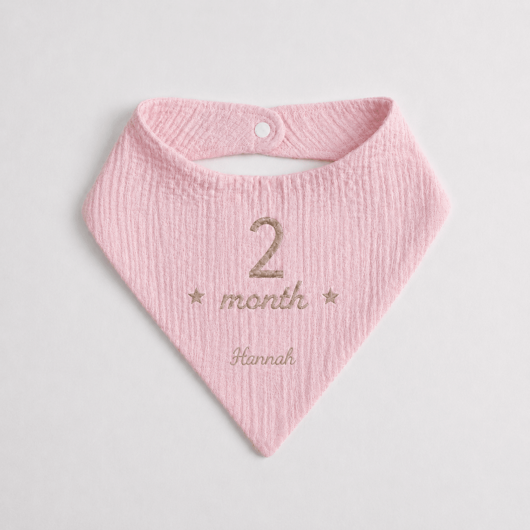 Pink baby bib with '2 month' and 'Hannah' embroidery on a light gray background