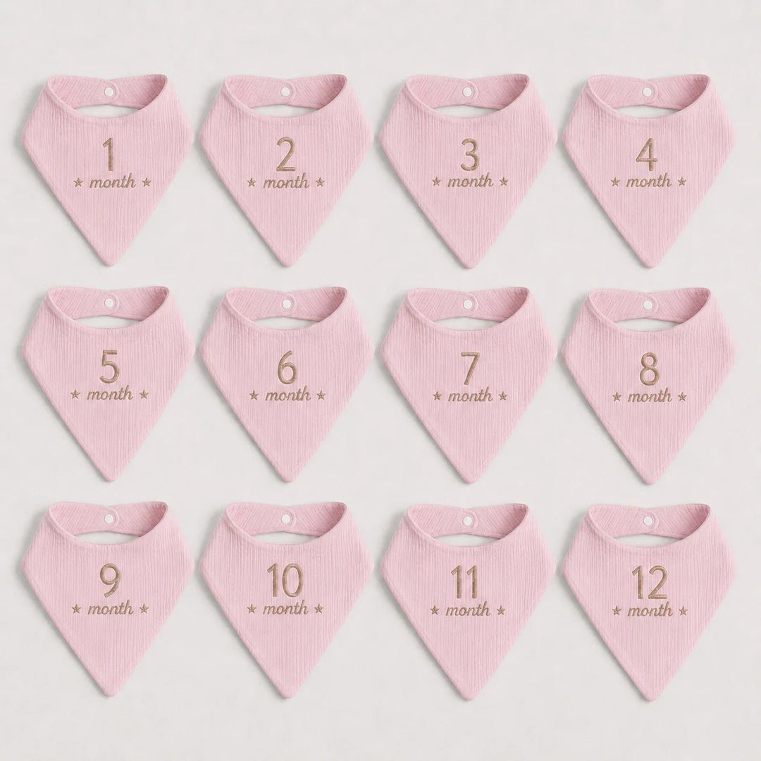 Set of 12 pink baby bibs with month markings on a white background