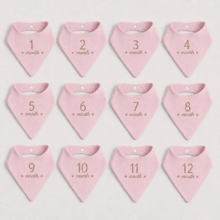 Set of 12 pink baby bibs with month markings on a white background