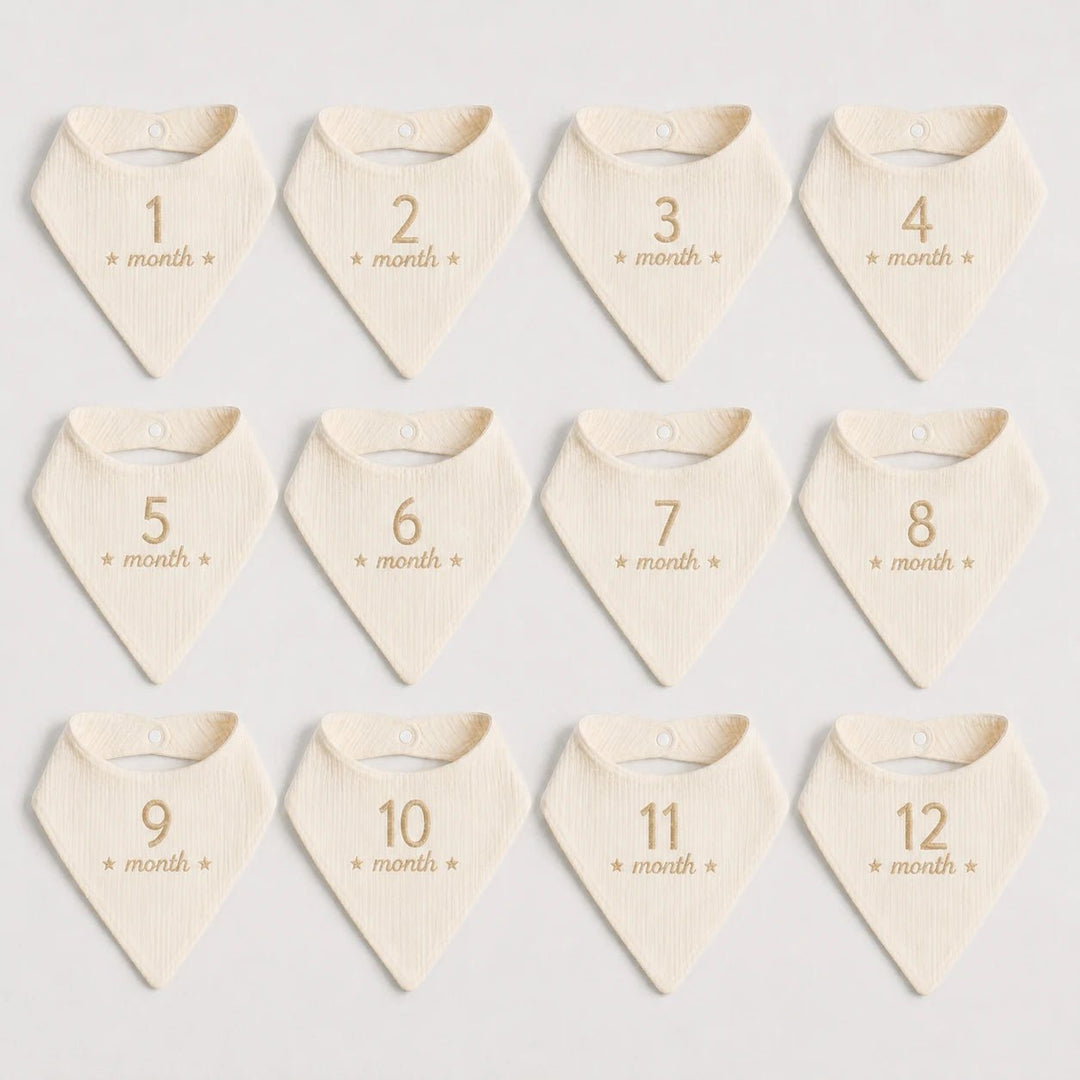 Baby Bibs: Personalised Monthly Milestone Baby Bibs | First Year Bib Set
