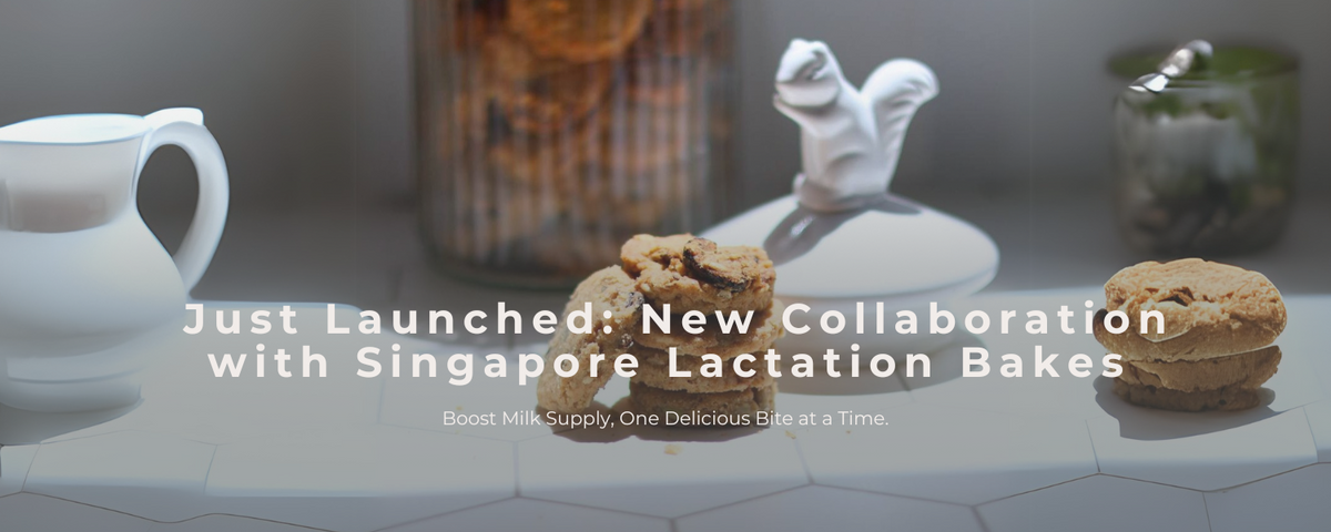 Just Launched - New collaboration with Singapore Lactation Bakes